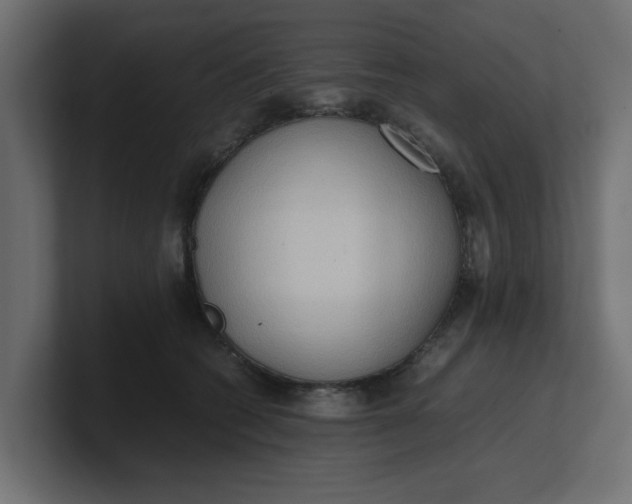 X0000100480562200806271205
