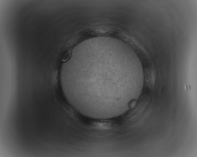 X0000100480563200806271205