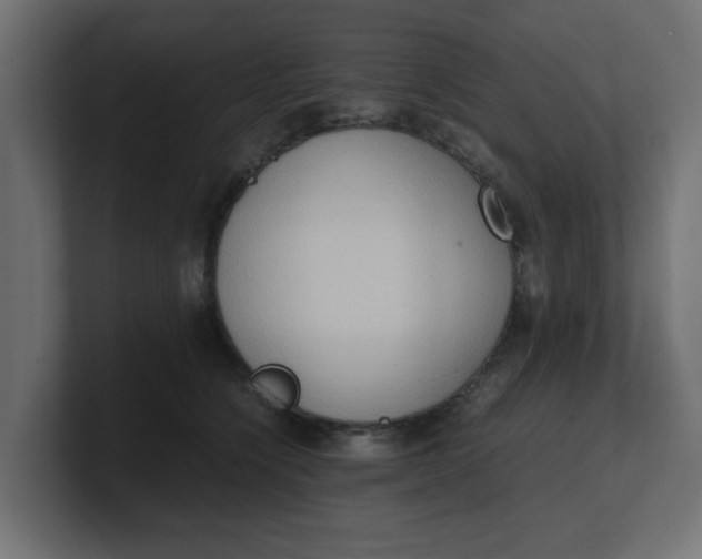 X0000100480564200806271205