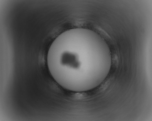 X0000100480566200806271205
