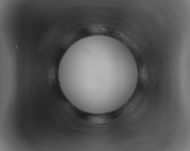 X0000100480567200806271205