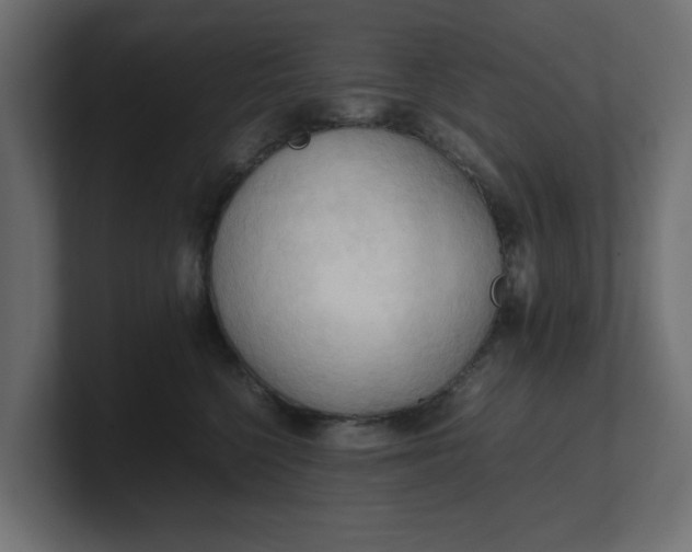 X0000100480568200806271205