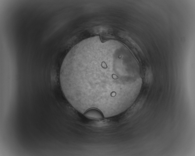 X0000100480569200806271205