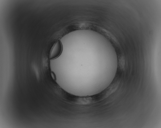 X0000100480571200806271205