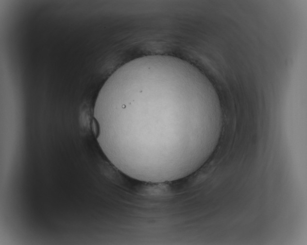 X0000100480576200806271205