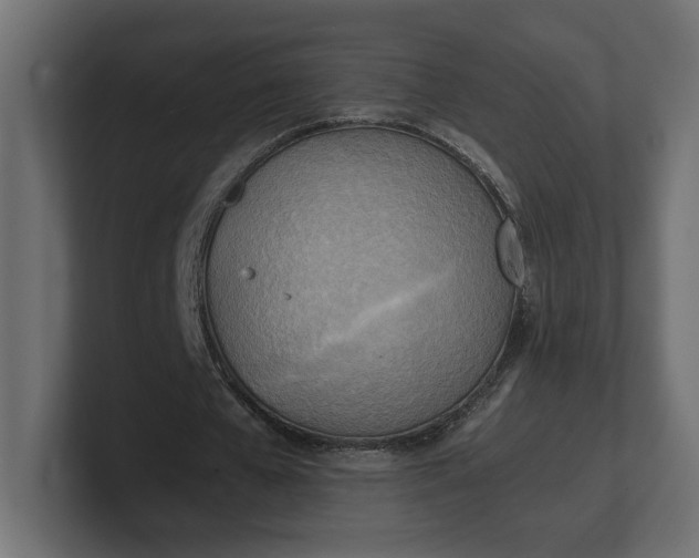 X0000100480577200806271204