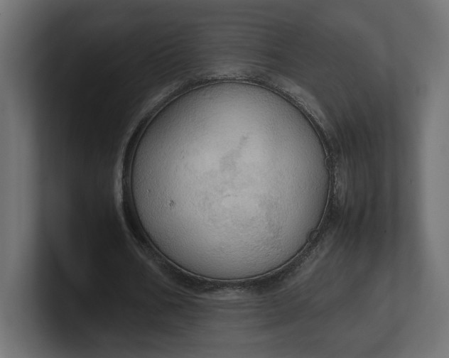 X0000100480578200806271204