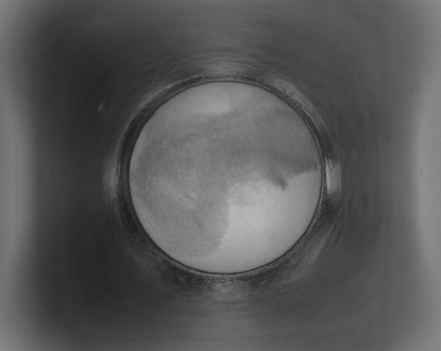 X0000100480579200806271204