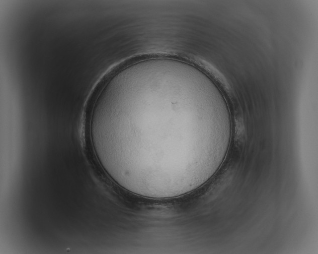 X0000100480580200806271204