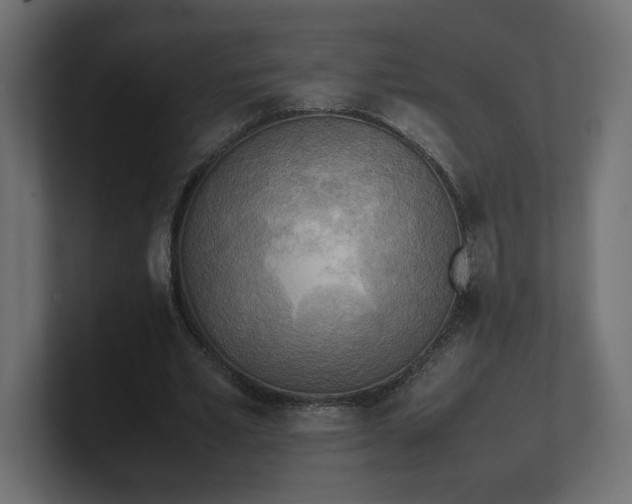 X0000100480581200806271204