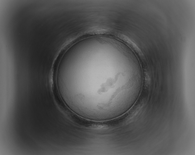 X0000100480582200806271204
