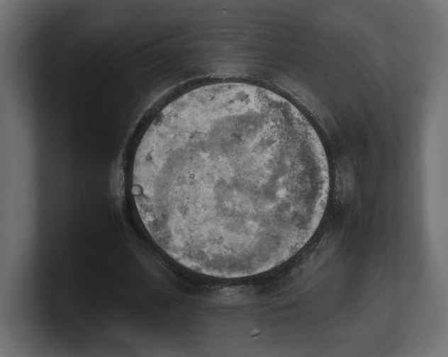 X0000100480584200806271204