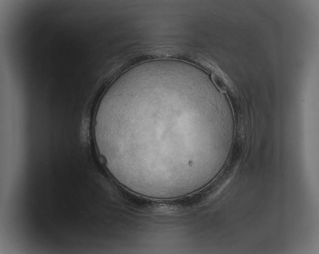 X0000100480585200806271204
