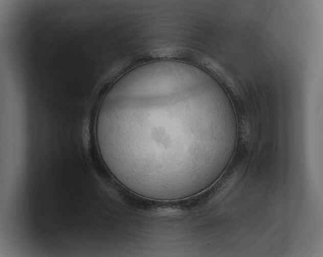 X0000100480586200806271204