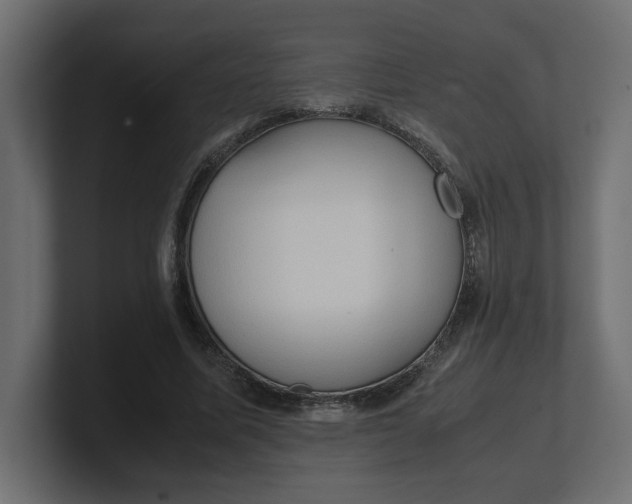 X0000100480587200806271204