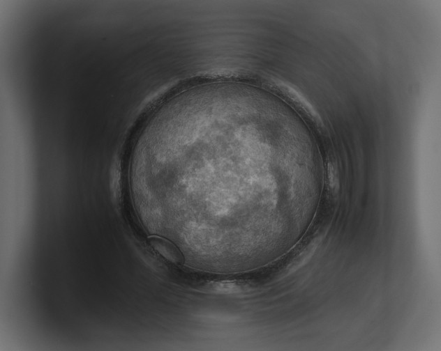 X0000100480588200806271204