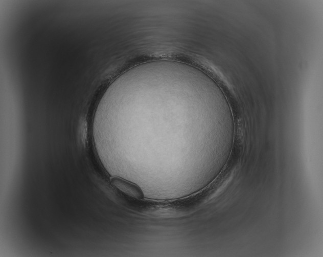 X0000100480589200806271204
