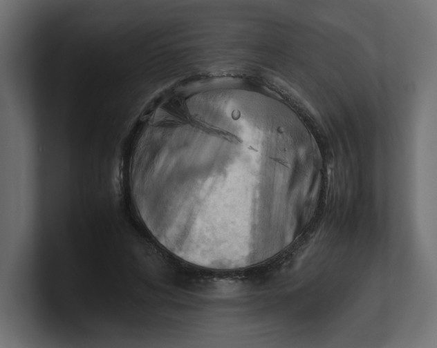 X0000100480592200806271204