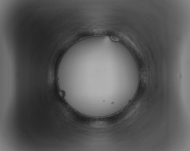 X0000100480593200806271204