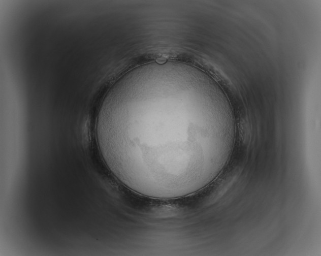X0000100480594200806271204