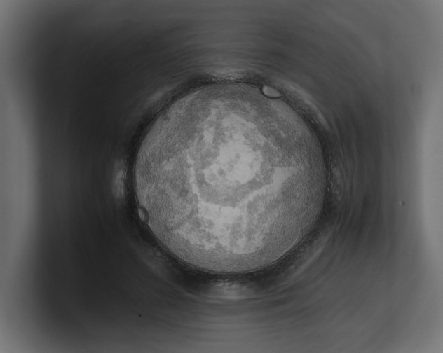 X0000100480596200806271204