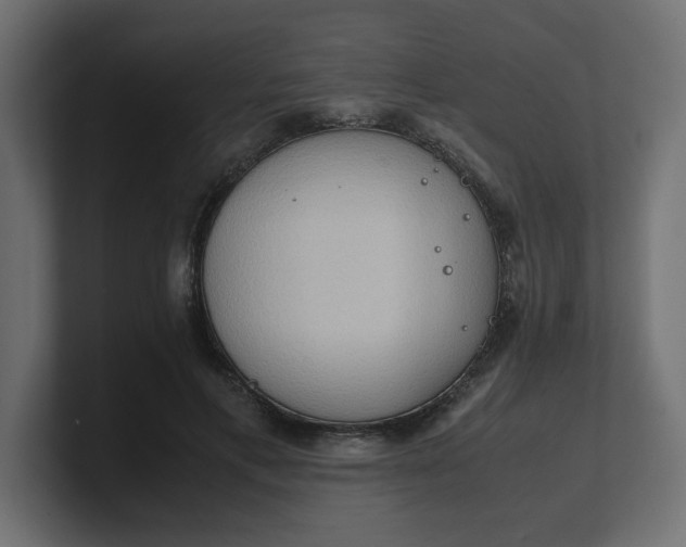 X0000100480597200806271204