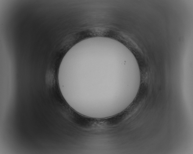 X0000100480599200806271204