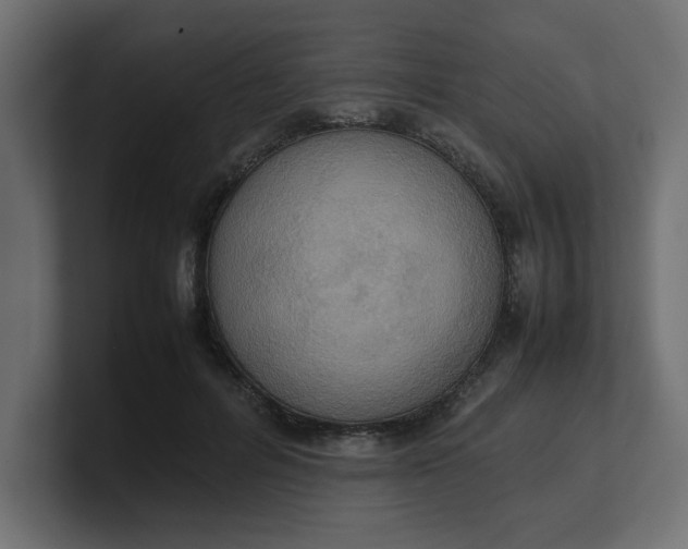 X0000100480600200806271204