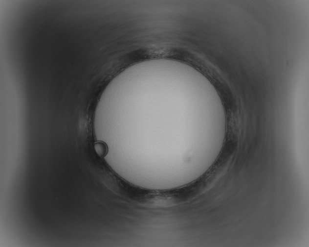 X0000100480601200806271204