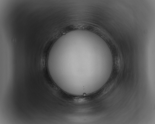 X0000100480602200806271204
