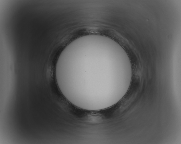 X0000100480603200806271204
