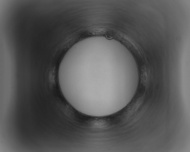 X0000100480604200806271204