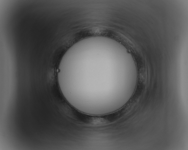 X0000100480605200806271204