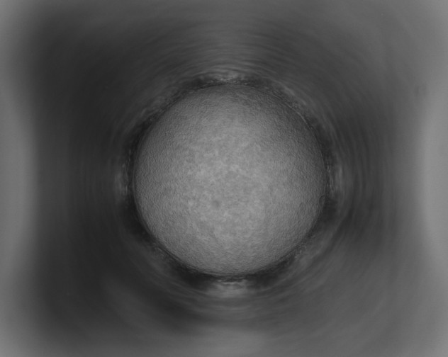 X0000100480606200806271204