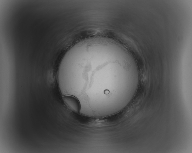 X0000100480607200806271204