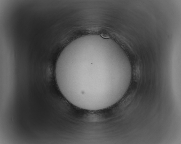 X0000100480608200806271204
