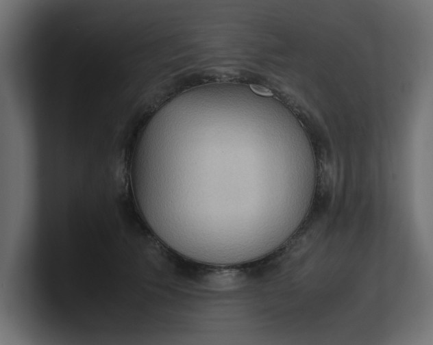 X0000100480609200806271204