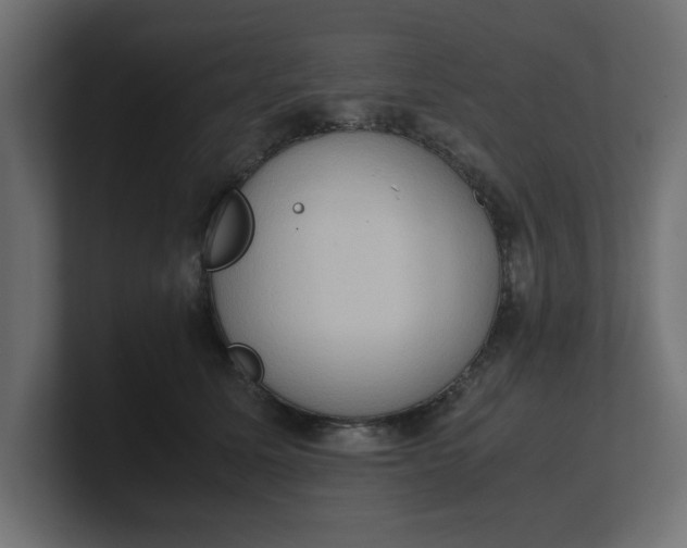 X0000100480611200806271204
