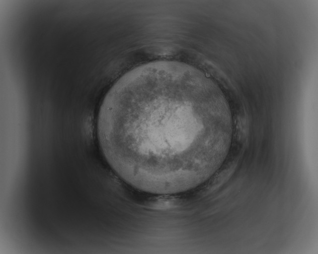 X0000100480612200806271204