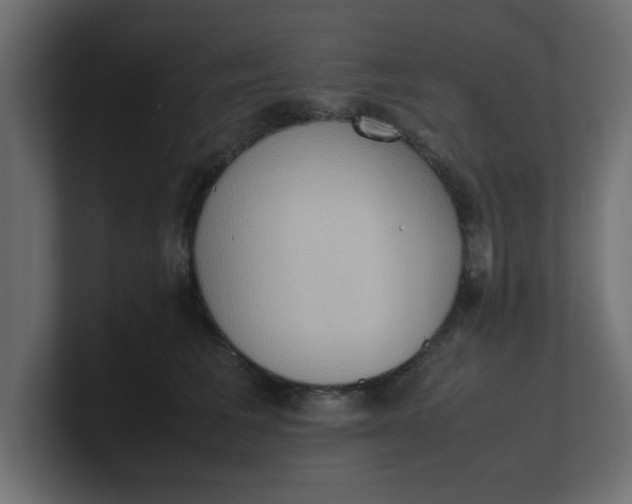 X0000100480613200806271204