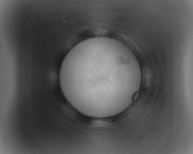 X0000100480614200806271204