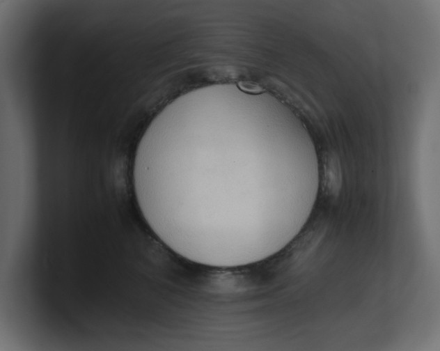 X0000100480616200806271204
