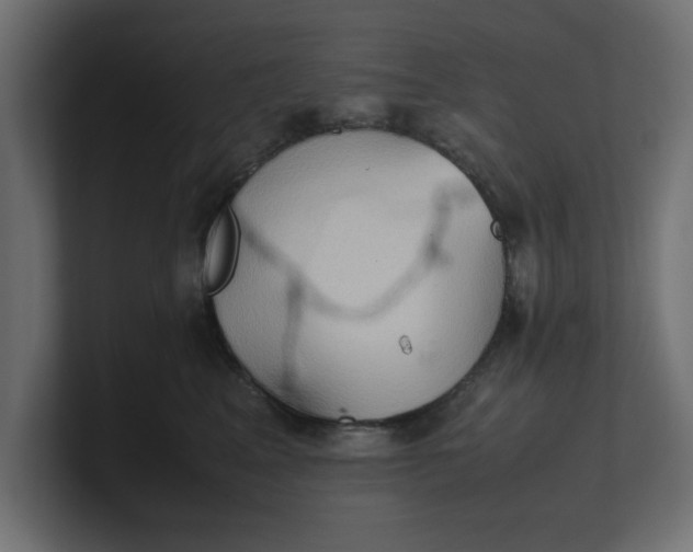X0000100480617200806271204