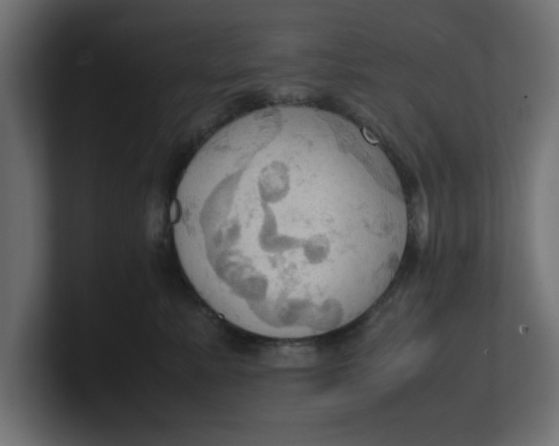 X0000100480619200806271204