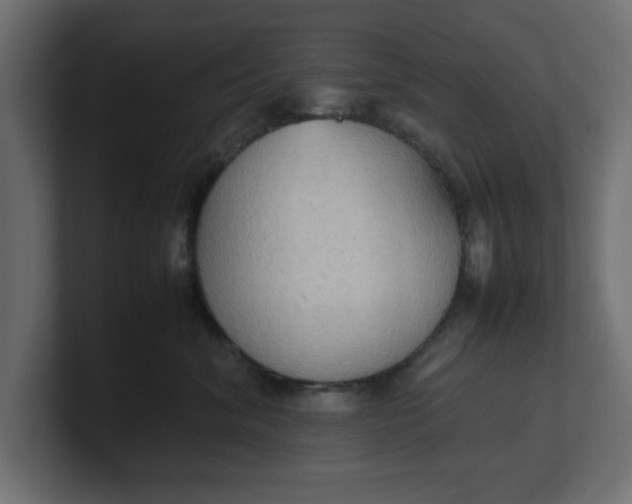 X0000100480620200806271204