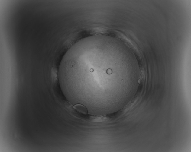 X0000100480621200806271204
