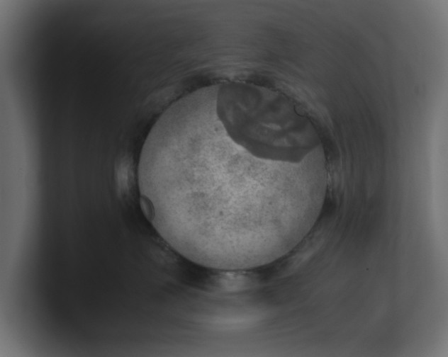 X0000100480623200806271203