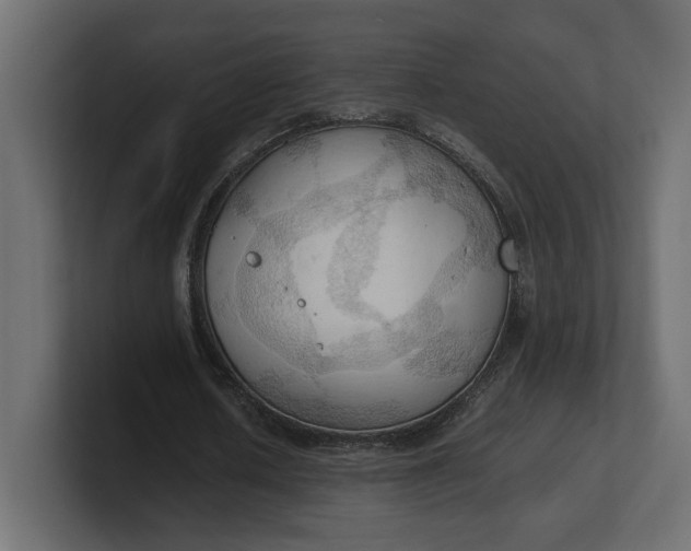 X0000100480626200806271203