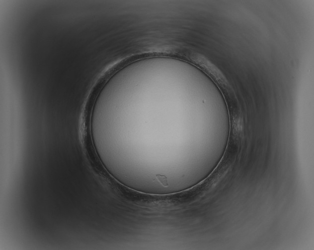 X0000100480628200806271203