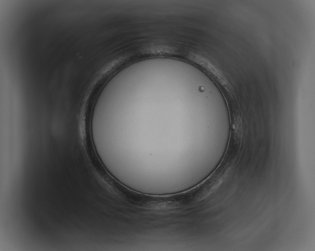X0000100480629200806271203
